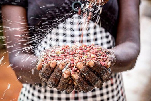 Global Food Waste