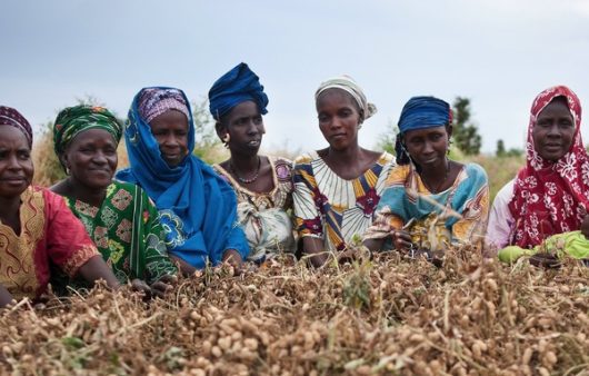 Farming in Ghana