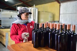 grape industry
