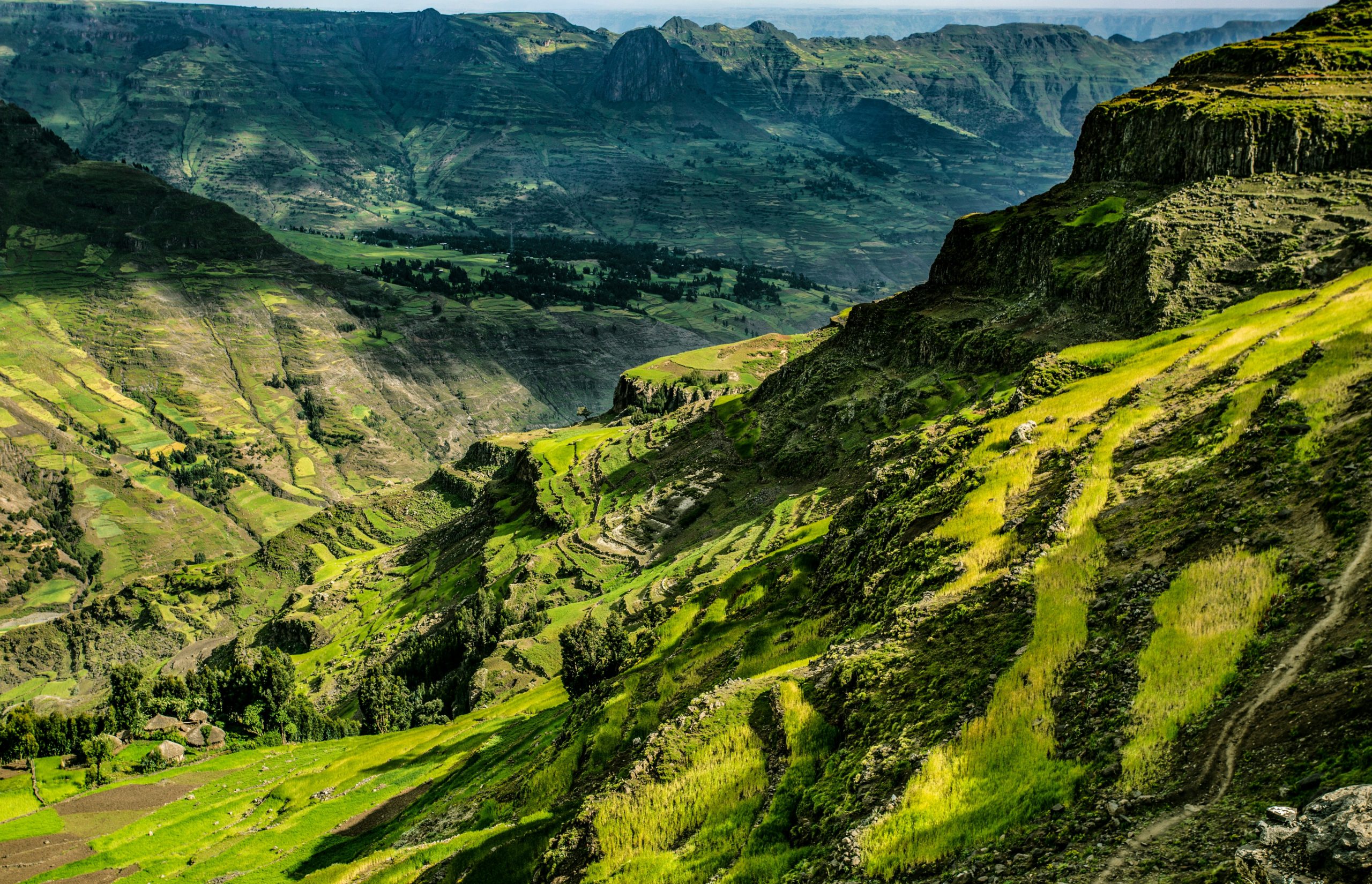 Great Green Wall