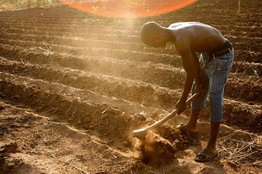 Green Revolution in Africa