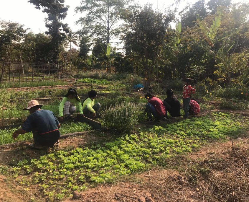 Green Shoot Foundation's FASE Program