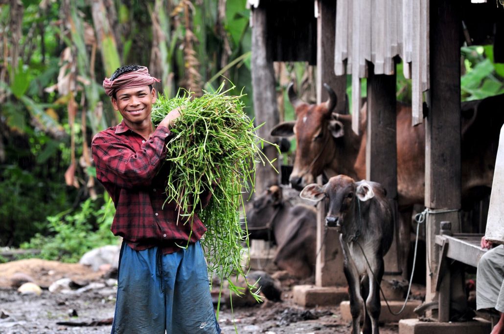 Green Shoots Foundation is Fighting Poverty