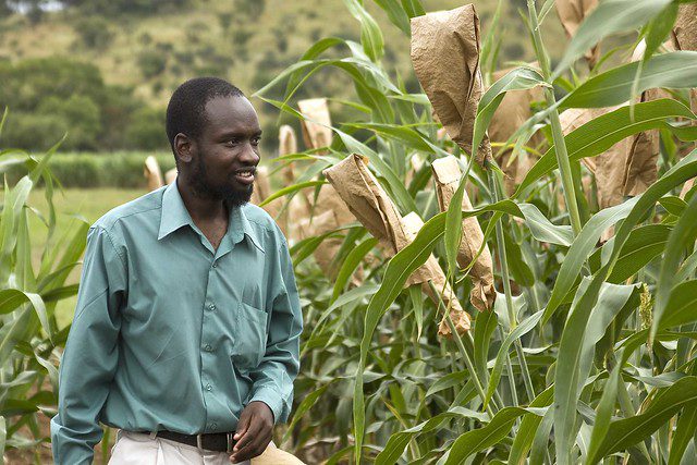 GreenFingers Mobile Aids in Food Insecurity