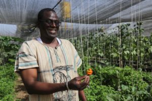 Agricultural Development in Mali