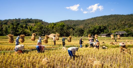 Farmers in Asia