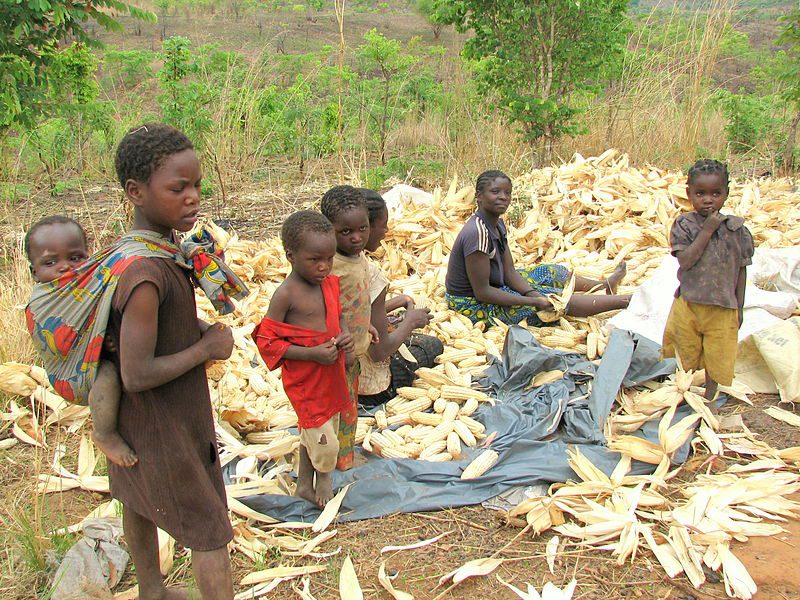 Reduce HIV/AIDS in Zambia