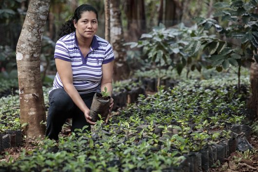 HIV in El Salvador