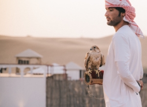 HIV in the United Arab Emirates HIV in the United Arab Emirates