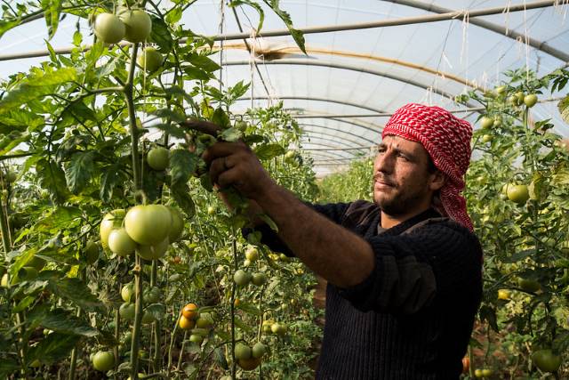 HIV/AIDS in Jordan