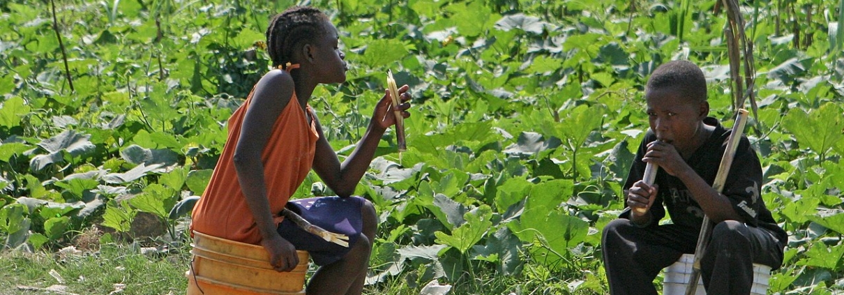 Haiti's Irrigation Canal