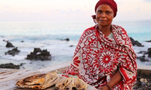 Health Care in Comoros