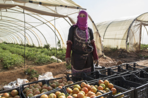 Health Care to Refugees