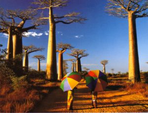 Health Outcomes in Madagascar