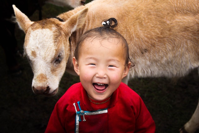 Healthcare in Mongolia