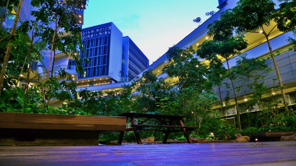 Healthcare in Singapore