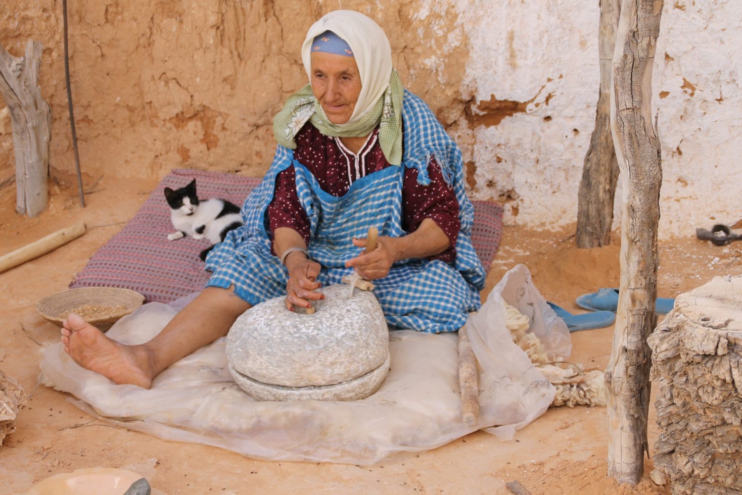 Healthcare in Tunisia
