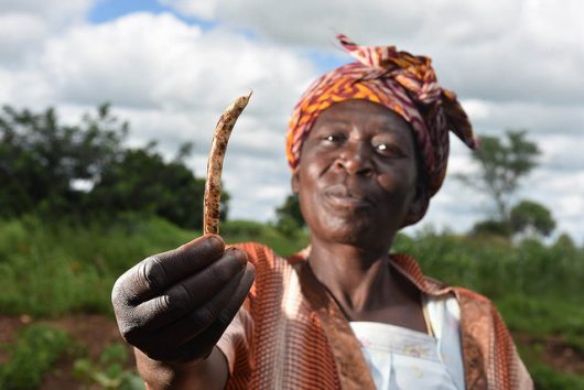 Help People in Malawi