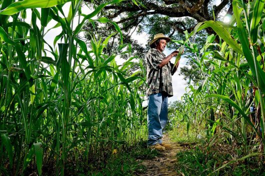 Hunger in Honduras