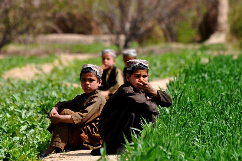 Agriculture in Afghanistan