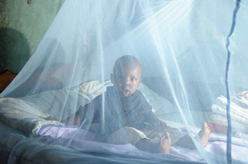 How Dual-Insecticide Nets Strengthen Malaria Control in Africa 