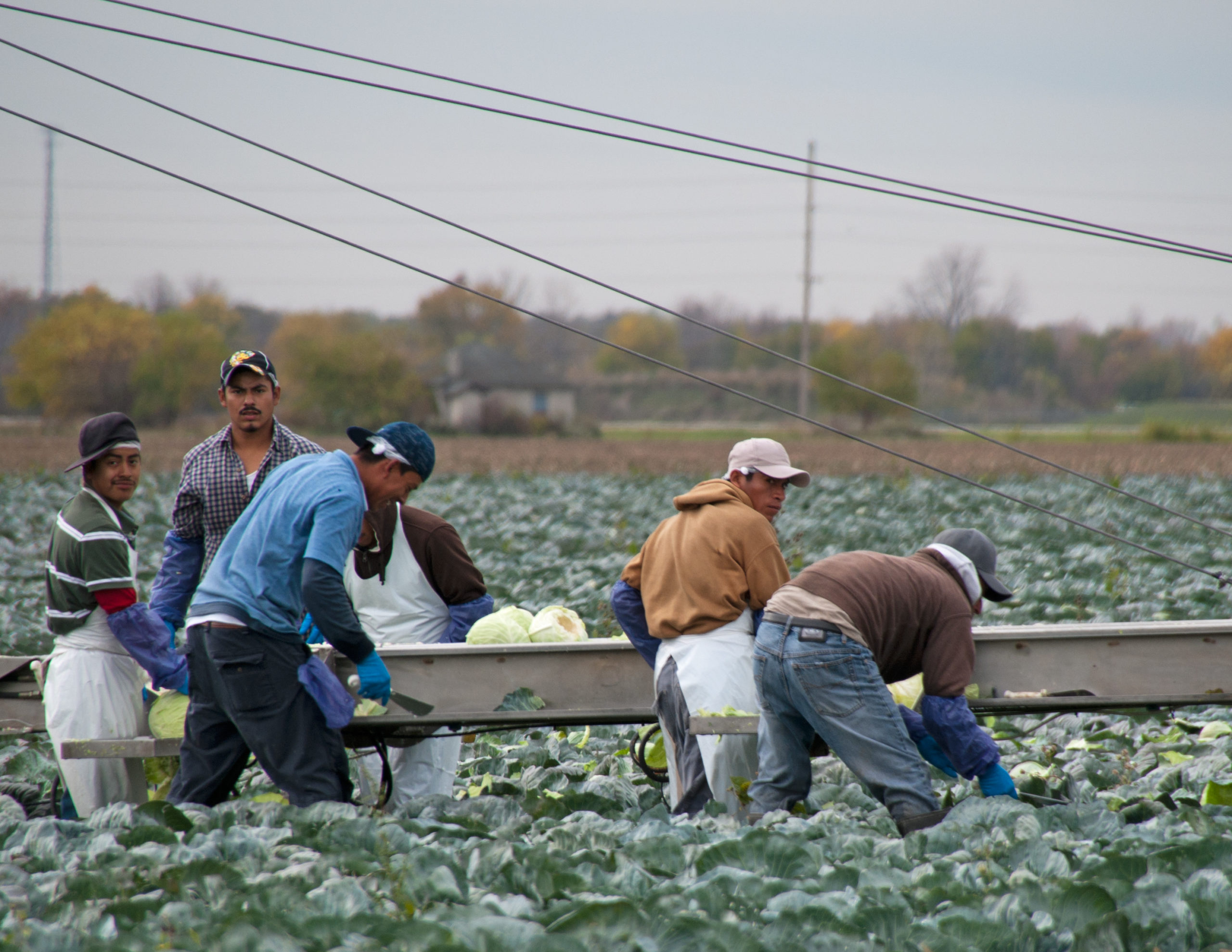 How Migrant Workers Have Been Impacted By COVID-19