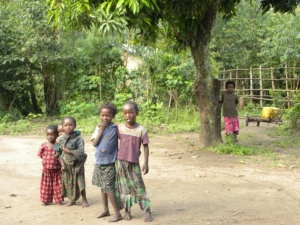 The Ethiopian Education System