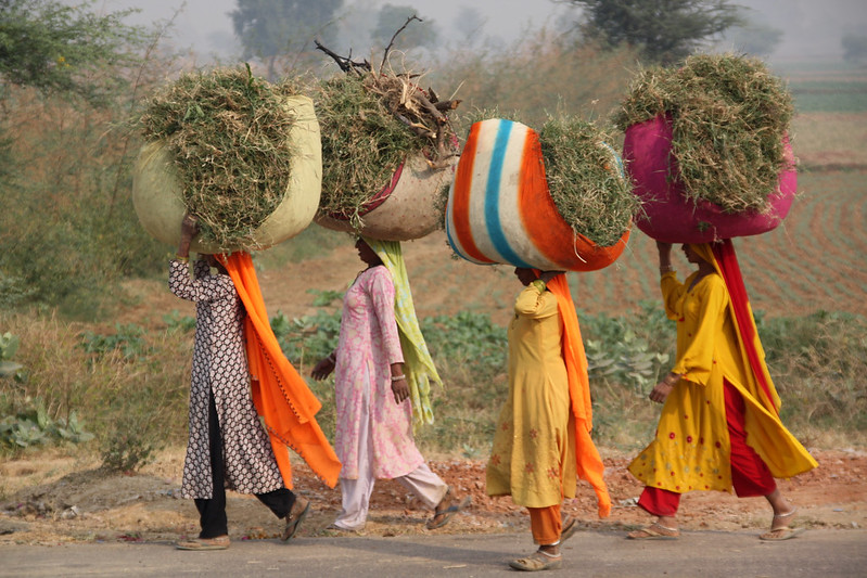 How SEWA Aids Self-Employed Women in India