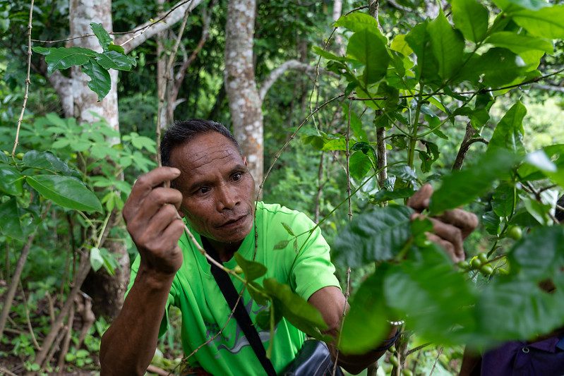 Vaccinations in Timor-Leste