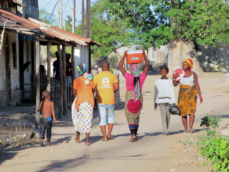 How the DFC is Investing in a Sustainable Future for Mozambique