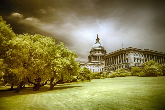 How to Become a Member of Congress