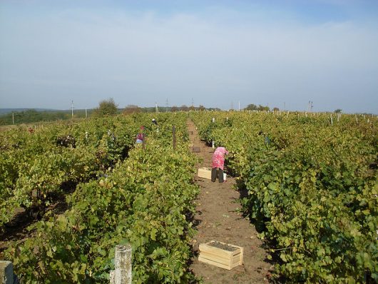 How to Help People in Moldova