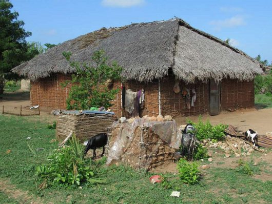 How to Help People in Tanzania
