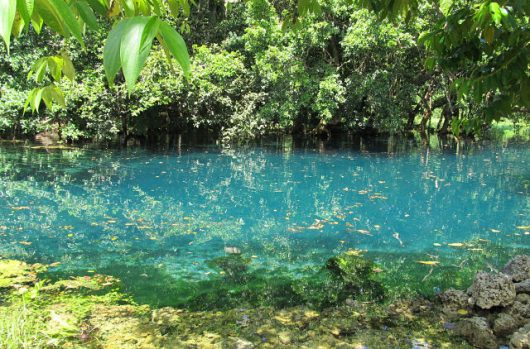How to Help People in Vanuatu