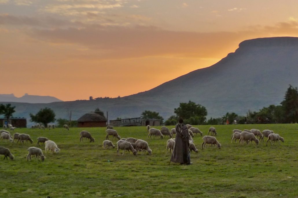 Human Trafficking in Lesotho