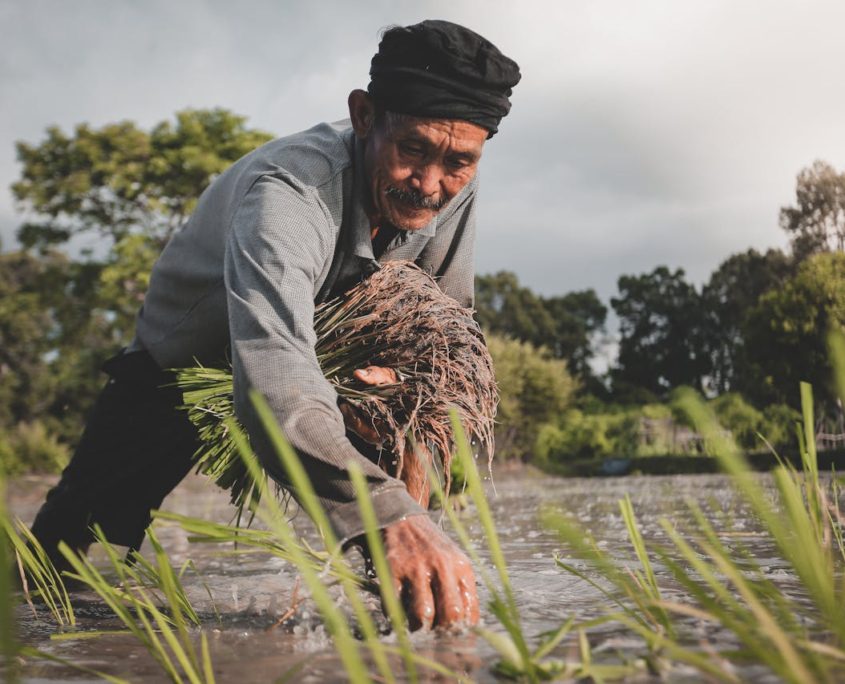 Hunger and Poverty Among Small-Scale Farmers