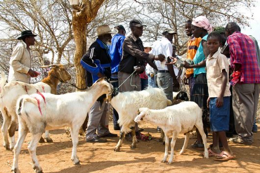Hunger in Burkina Faso