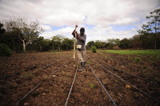 Hunger in Central America