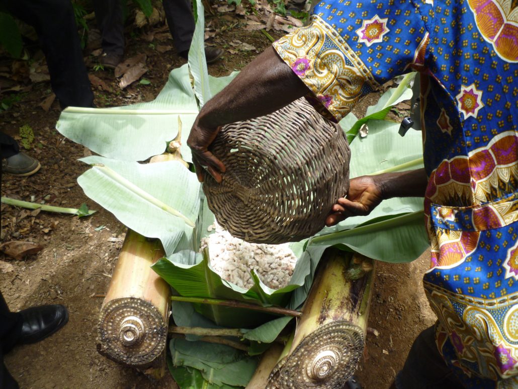 Hunger in Côte d'Ivoire