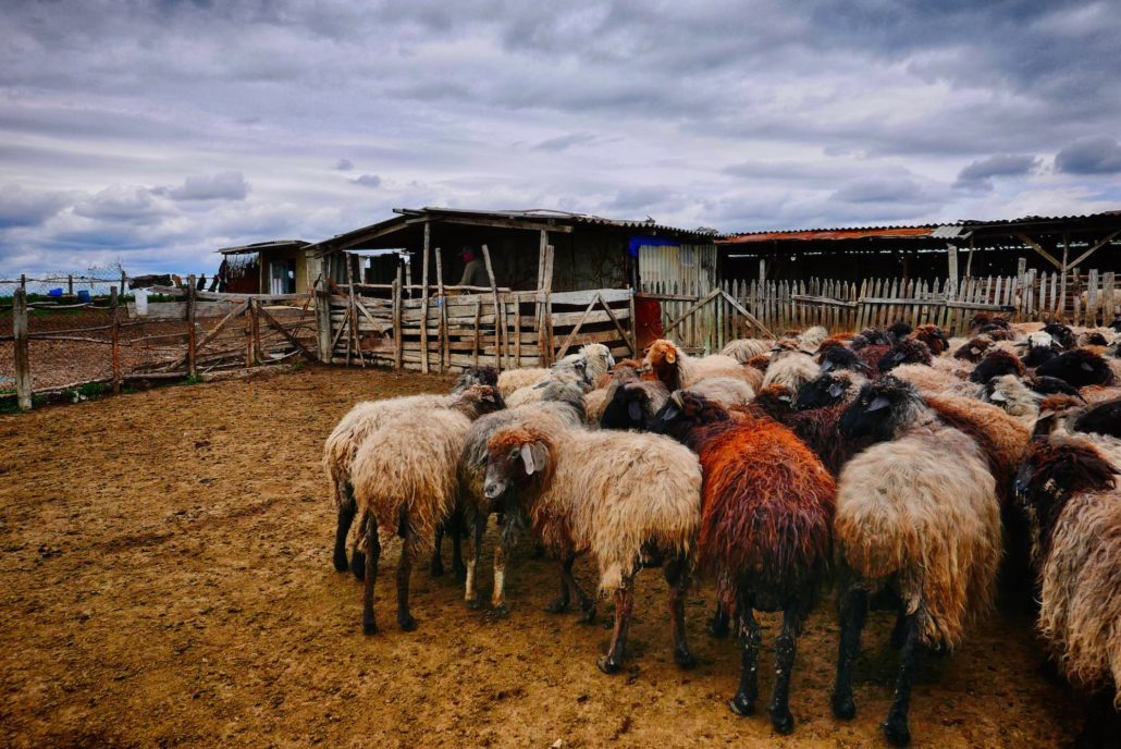 Hunger in Moldova