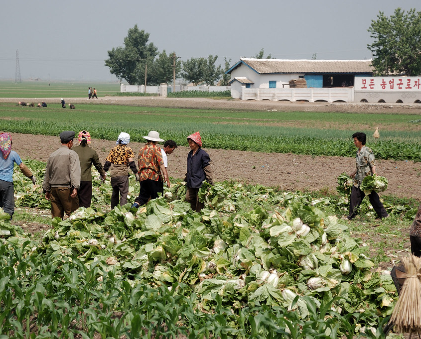 Hunger in North Korea