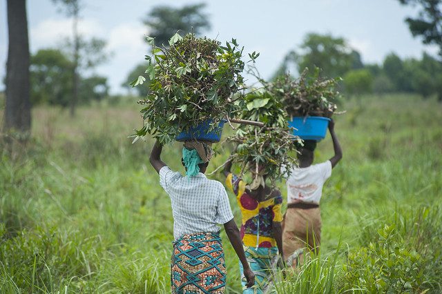 Hunger in the DRC