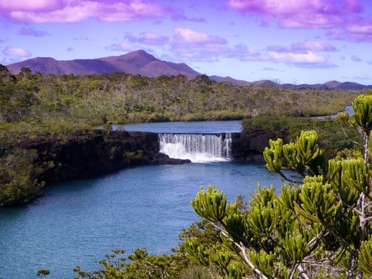 Hunger in New Caledonia