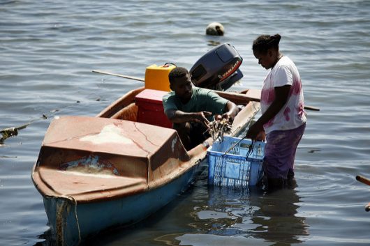 Hunger in the Solomon Islands