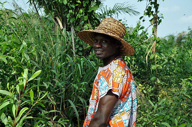 Improve Agriculture in Africa