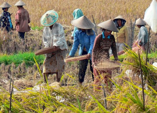 Poverty in Indonesia