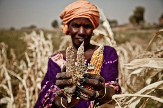 Prosperity for the Poor