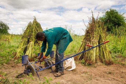 Innovations in Agriculture