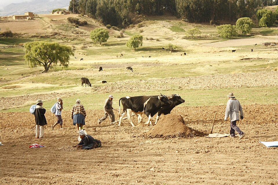 Poverty Eradication in Bolivia