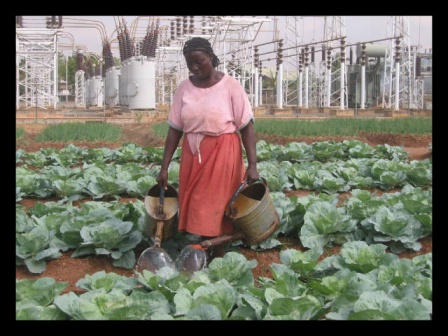 Why the US Should Invest in Africa?